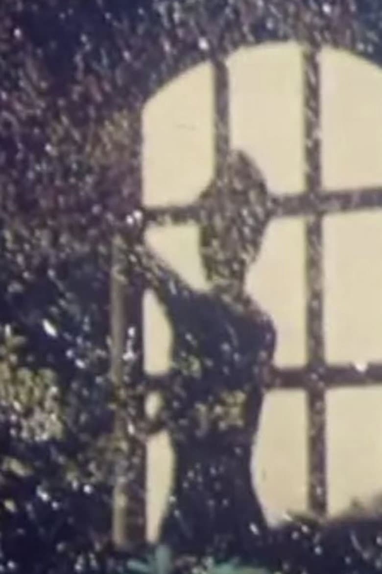 The Portrait of Cordua