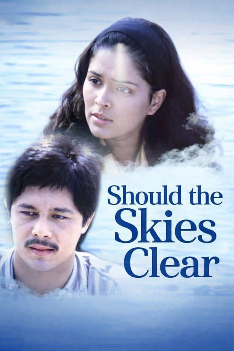 Should the Skies Clear
