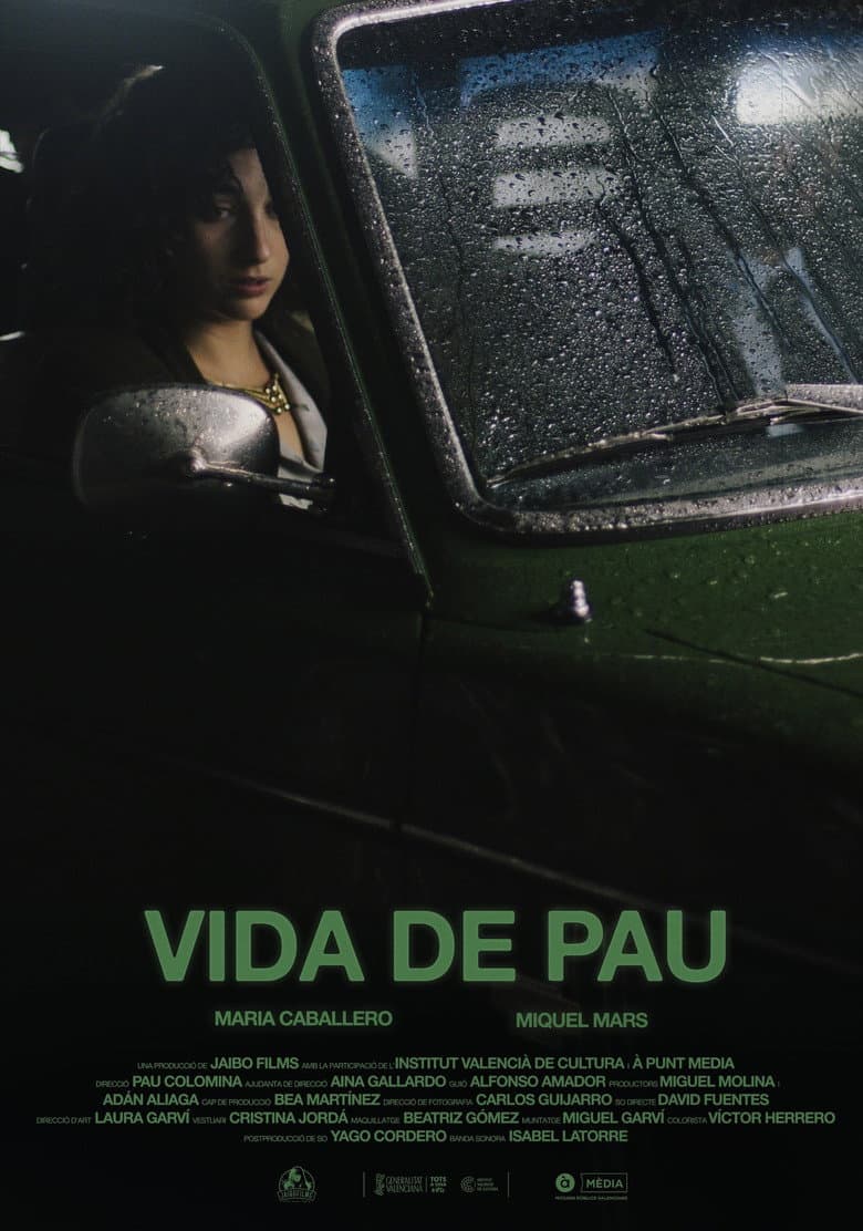 Vida de pau