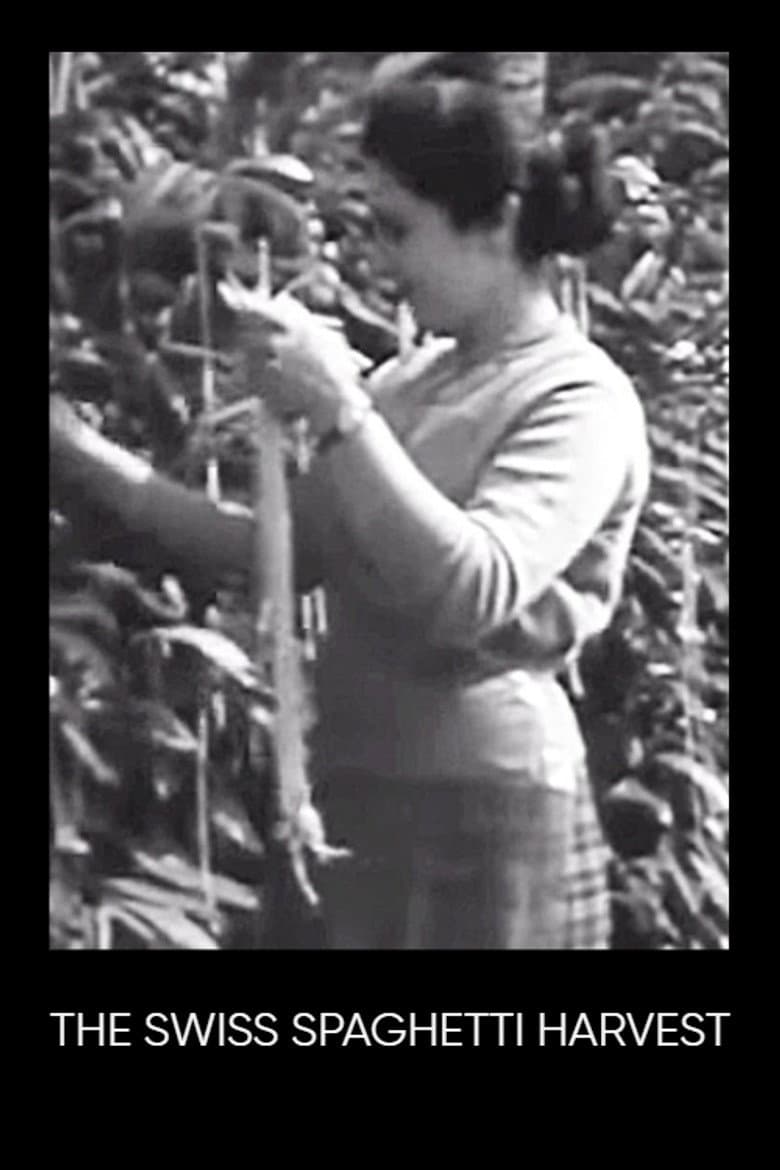The Swiss Spaghetti Harvest