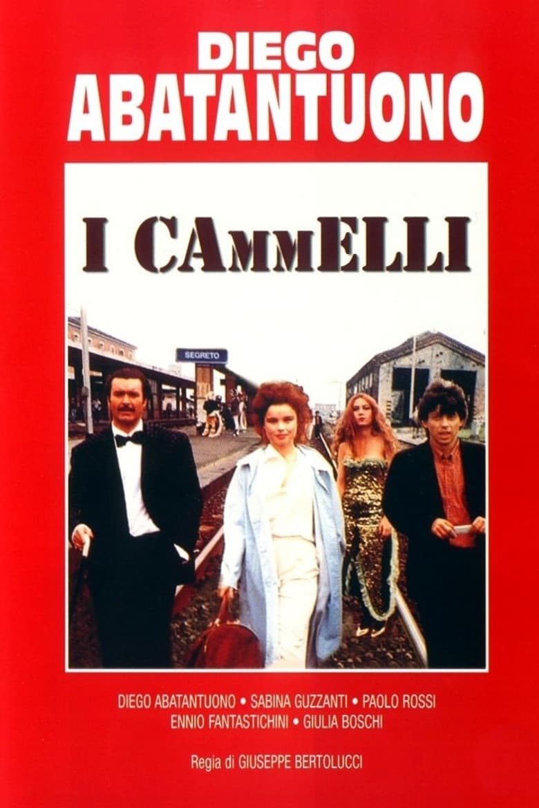 I cammelli