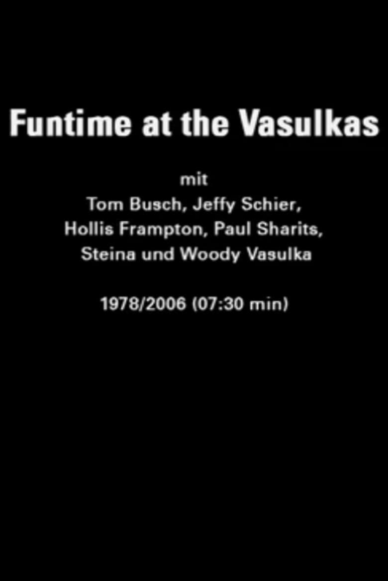 Funtime at the Vasulkas