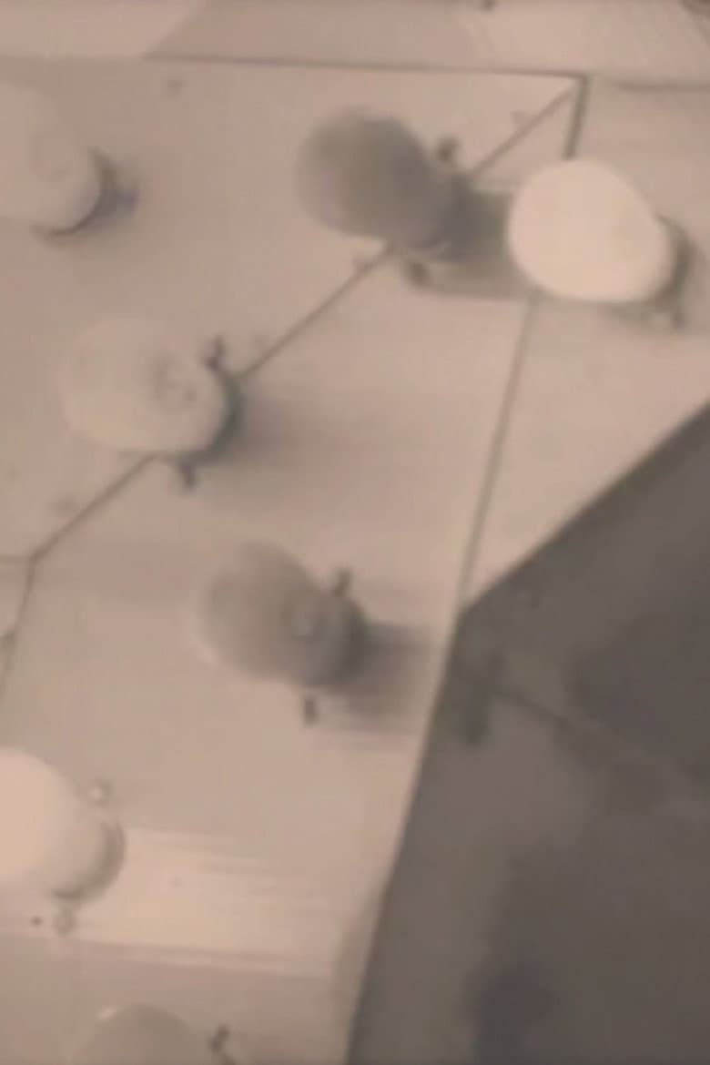 Notes on the Buffalo Conference: “Autobiography in American Independent Cinema”