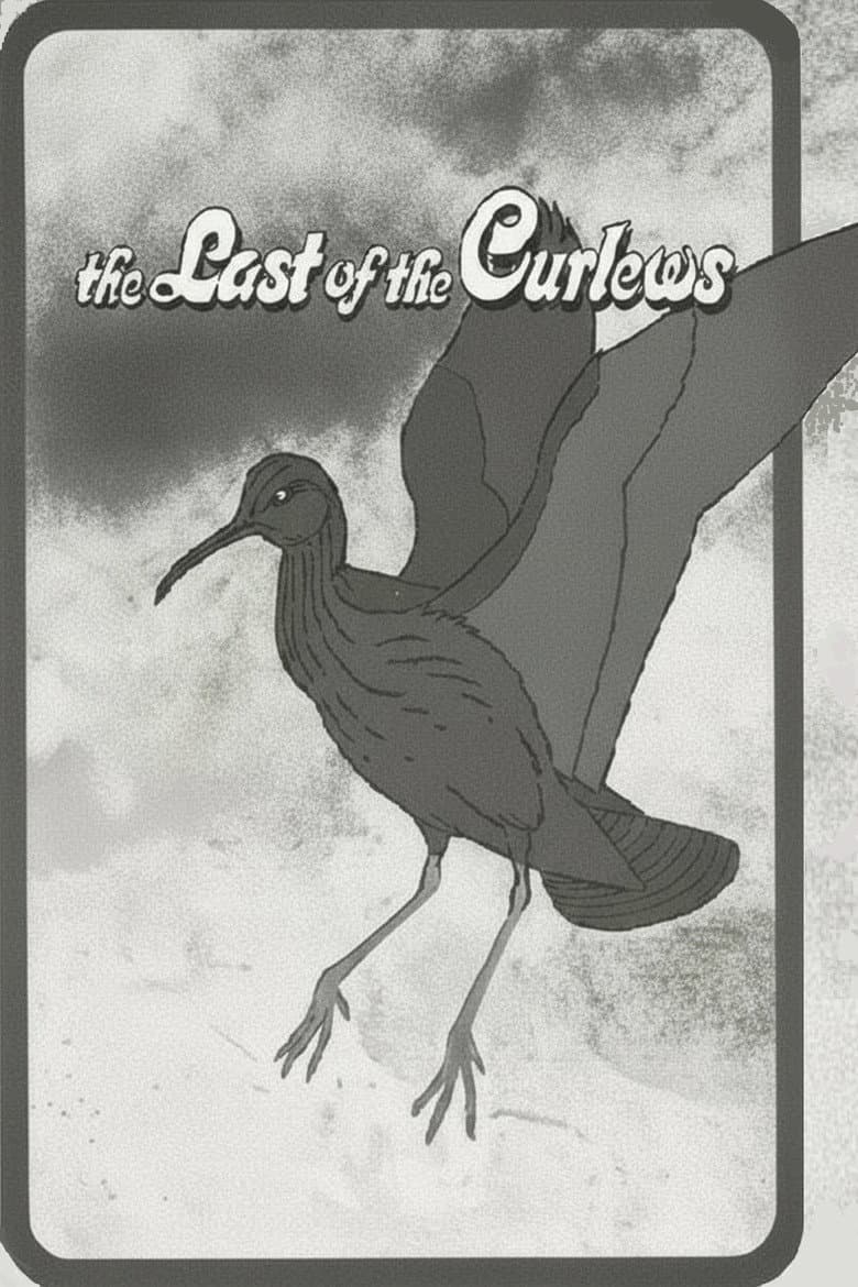 The Last of the Curlews