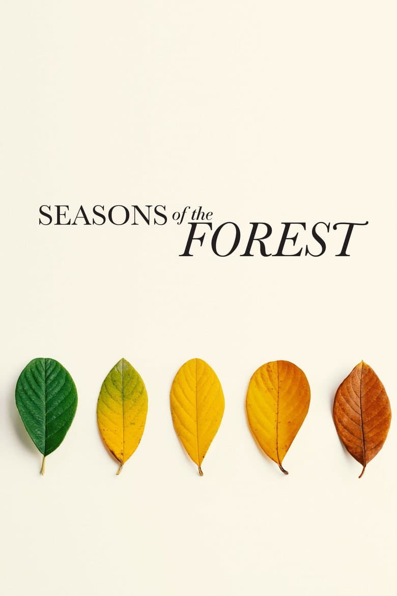 Seasons of the Forest