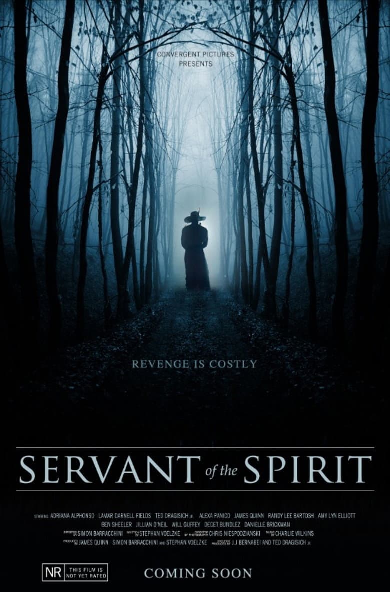 Servant of the Spirit