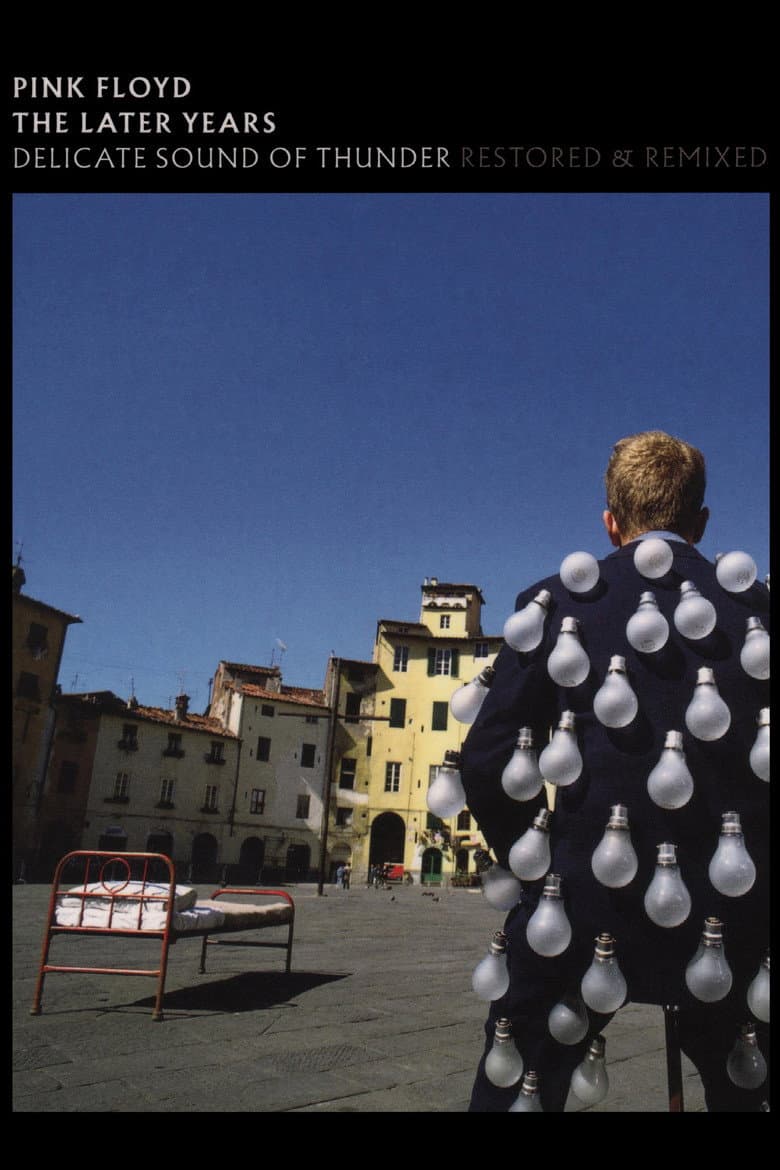 Pink Floyd: The Later Years, Vol 2 - Delicate Sound of Thunder
