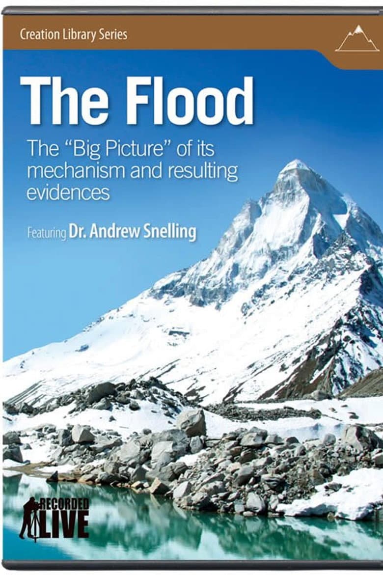 The Flood: The Big Picture of Its Mechanism and Resulting Evidences