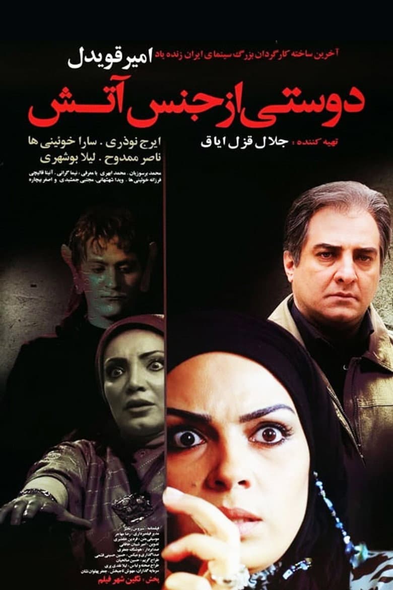 A Friend Made of Fire