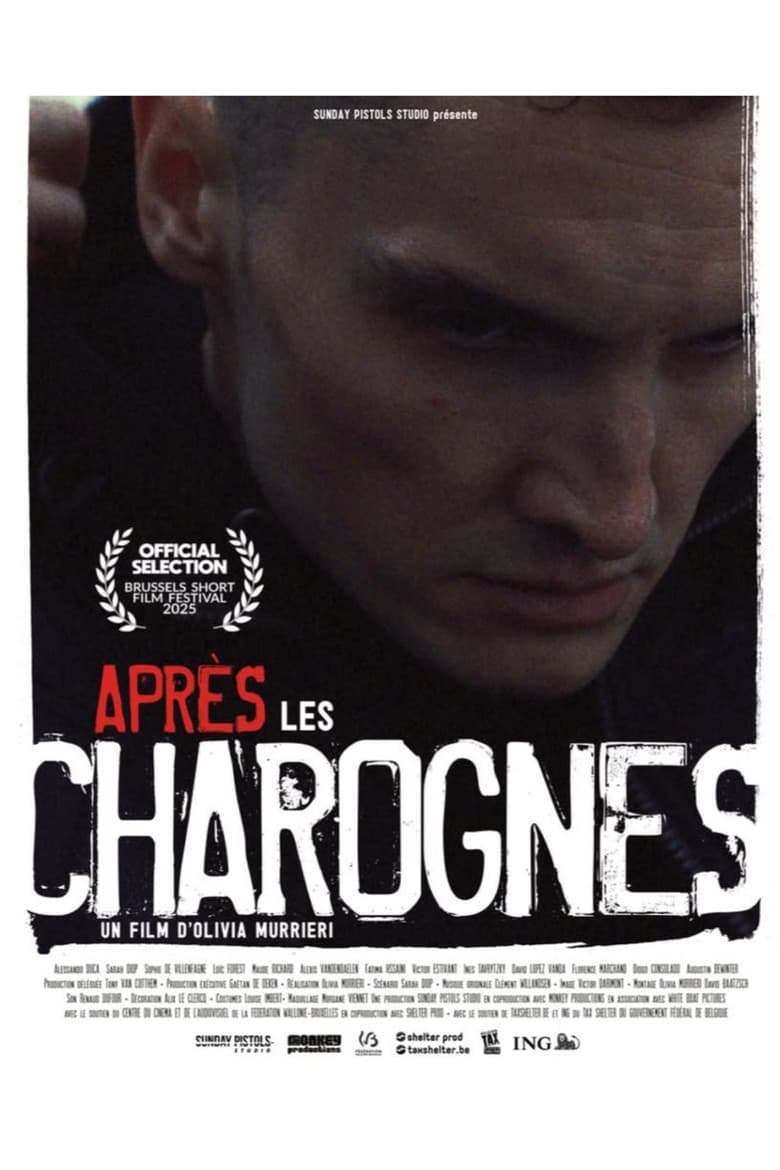 Après les charognes