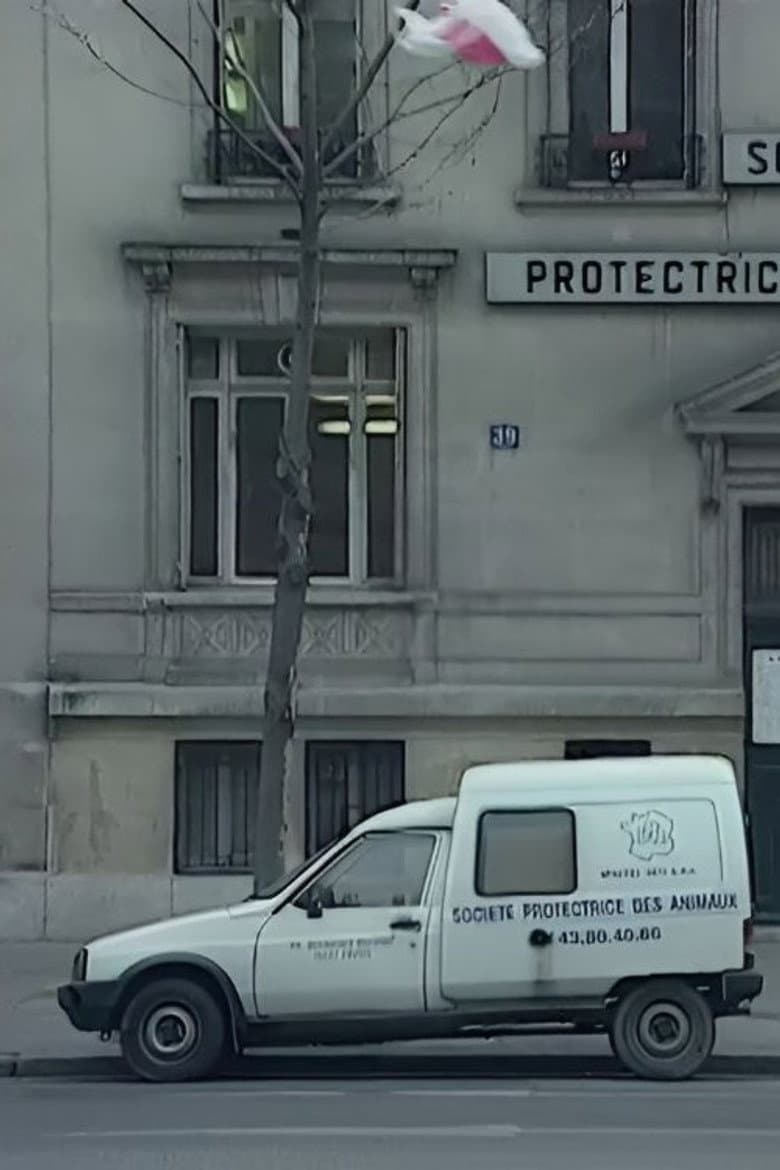 We Are All Cockroaches