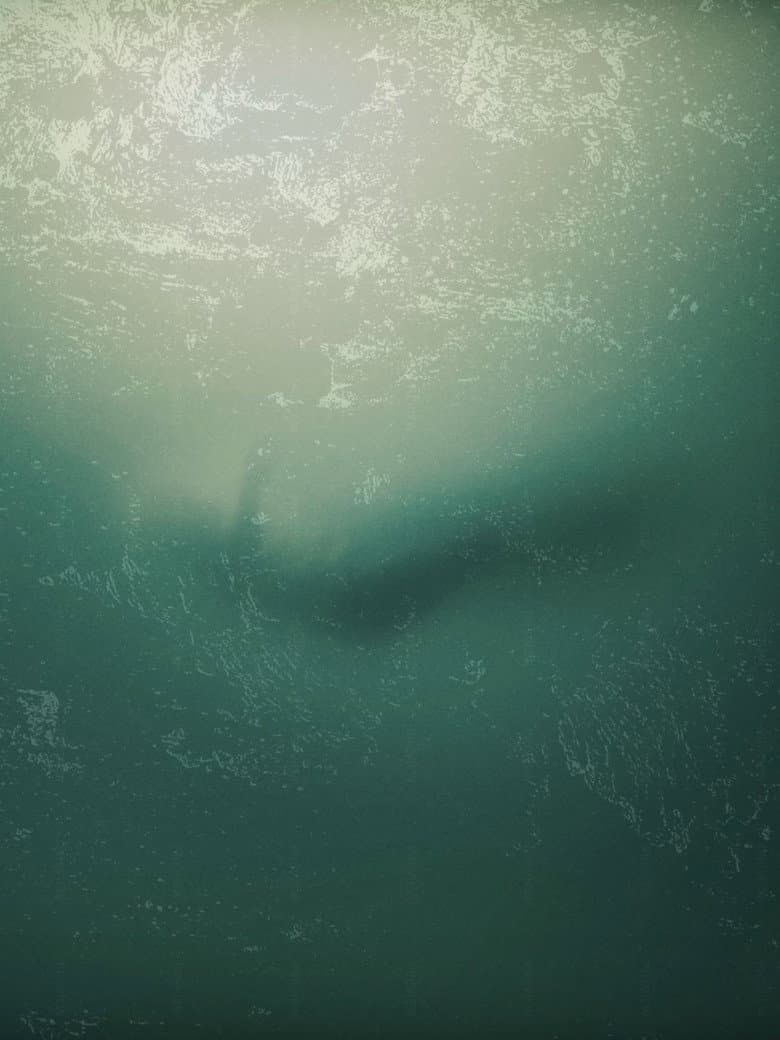 I Don't Want to Walk Alone