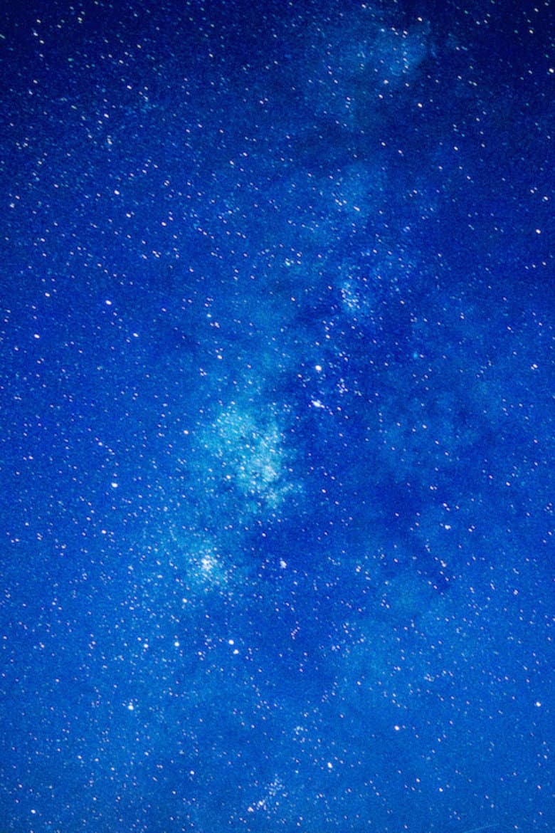 Oda a un día de verano