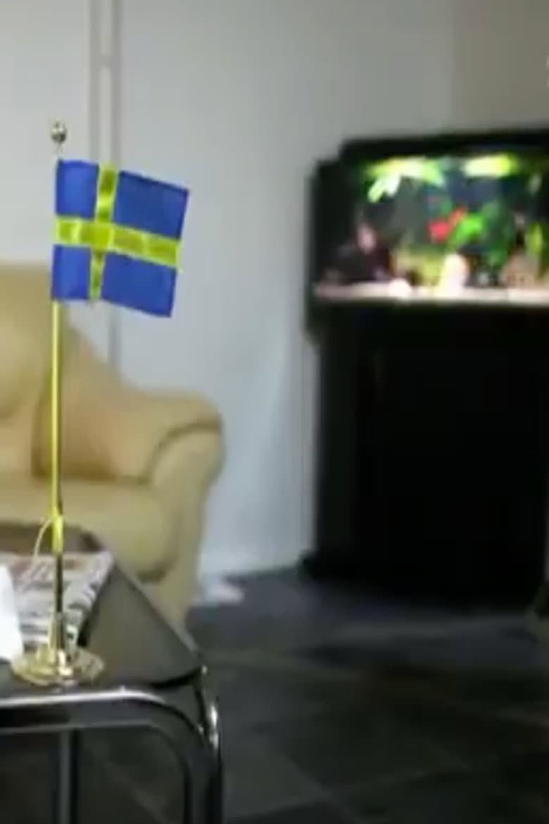 Sverigedemokraterna - vägen till riksdagen