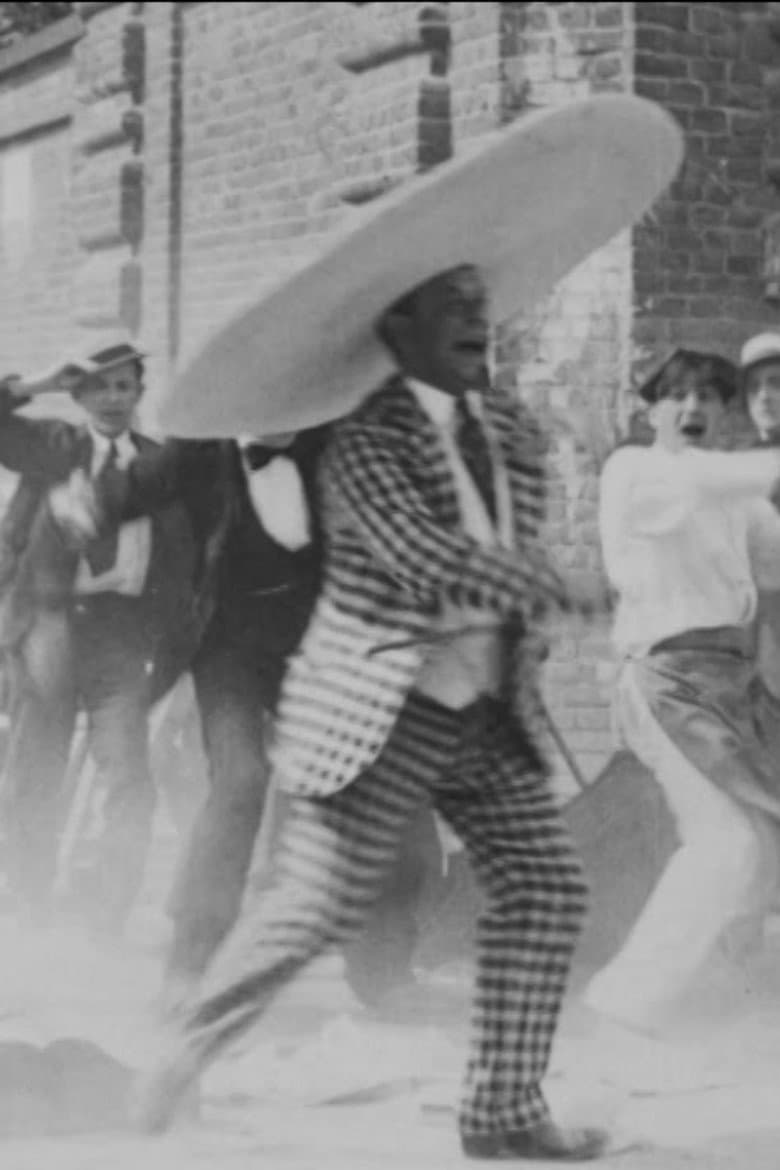 Wide Brimmed Hats Are Fashionable