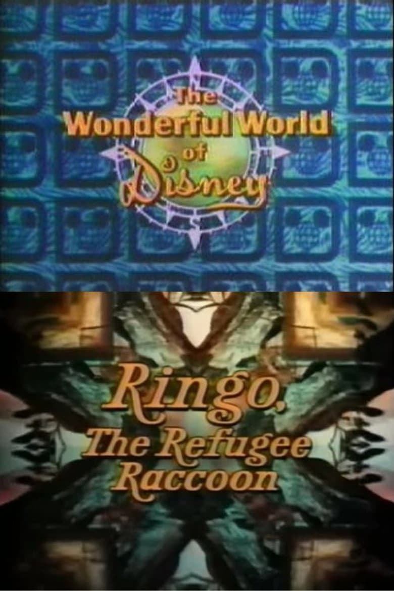 Ringo, the Refugee Raccoon