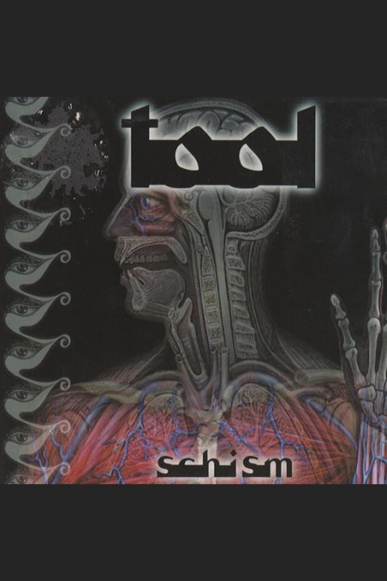 TOOL - Schism