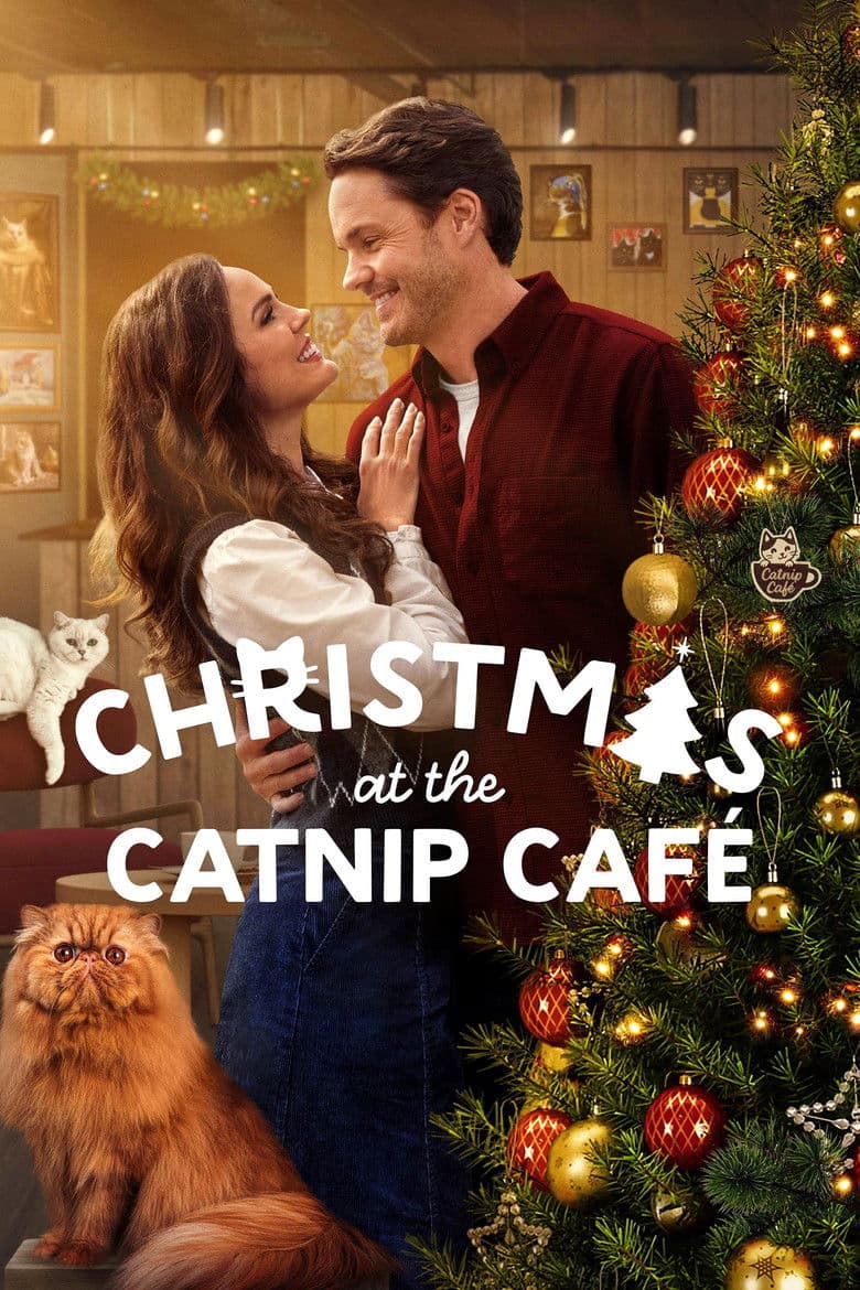Christmas at the Catnip Café