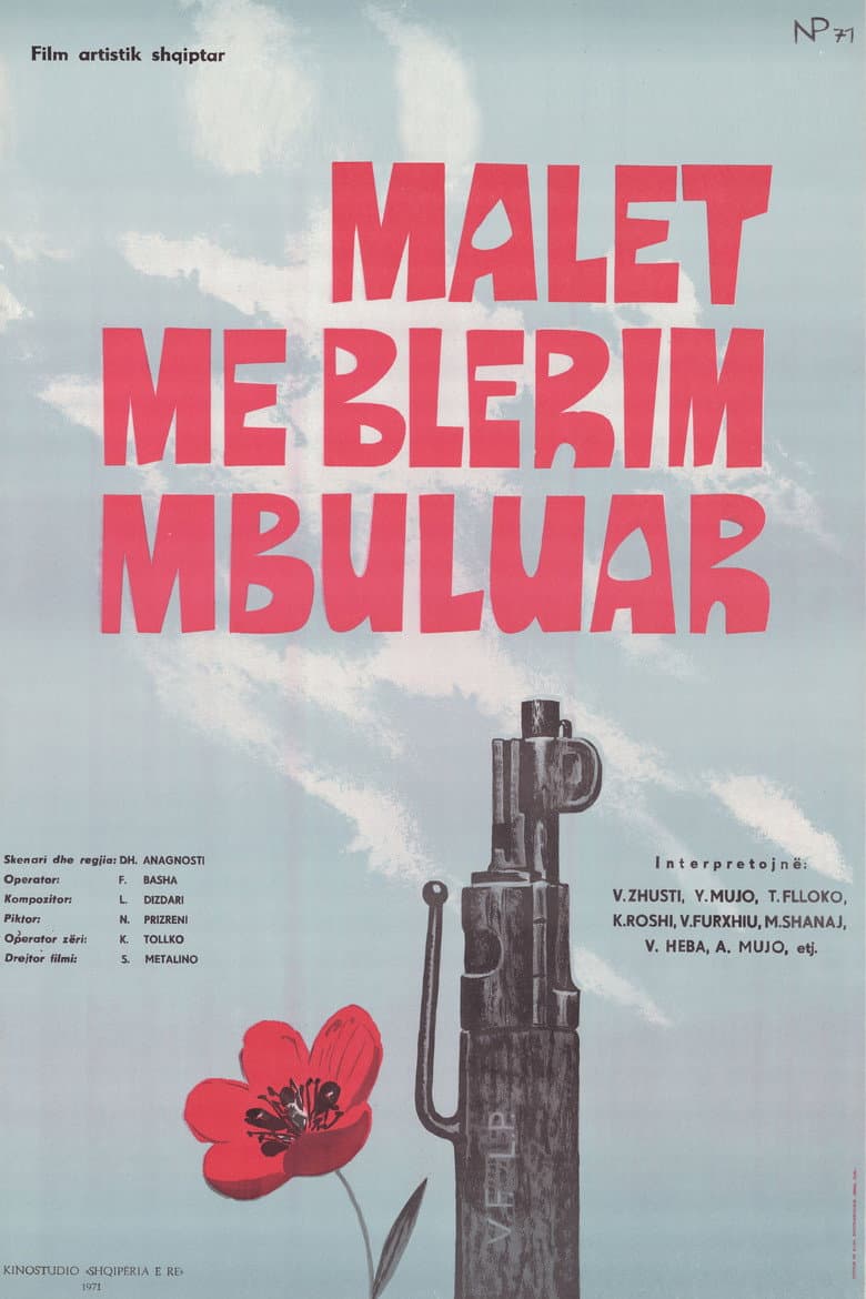 Mountains Clad in Green