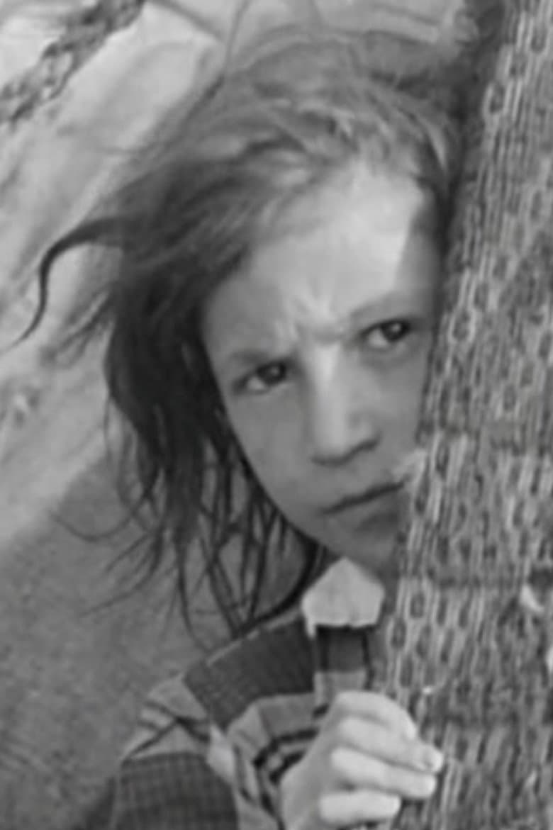 They Come Across the Borders