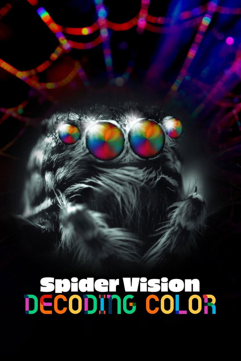 Spider Vision: Decoding Color