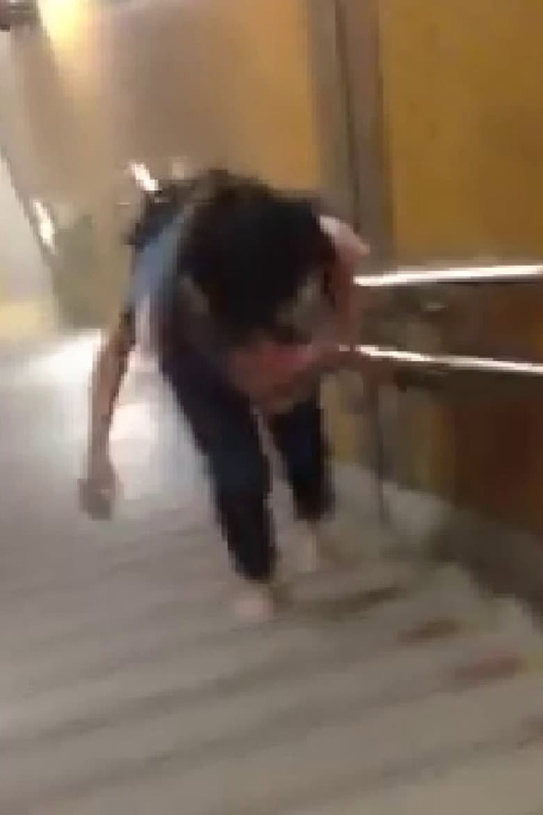 tricotMOVIE'13 8月号