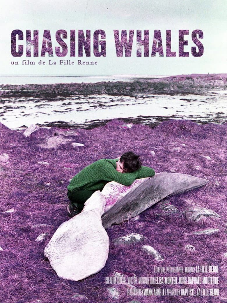 Chasing Whales