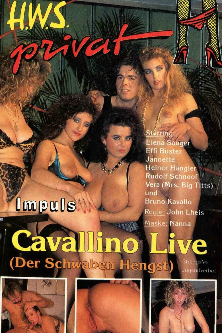 Cavallino Live (Der Schwaben Hengst)
