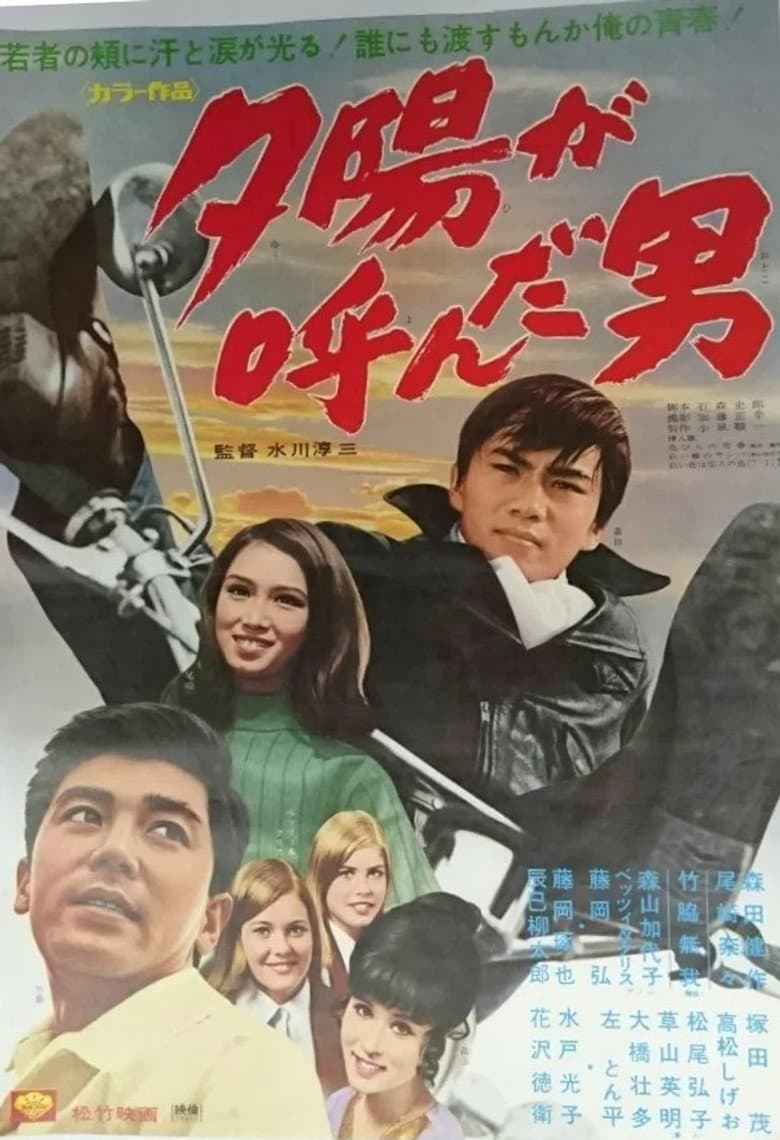 The Sunset is Calling Me