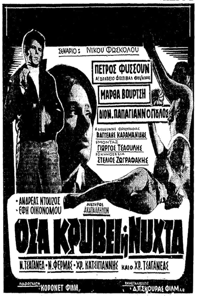 What the Night Hides