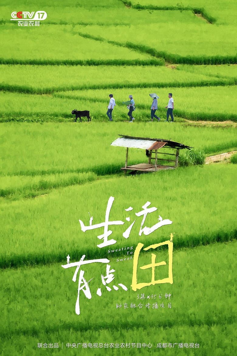 生活有点“田”