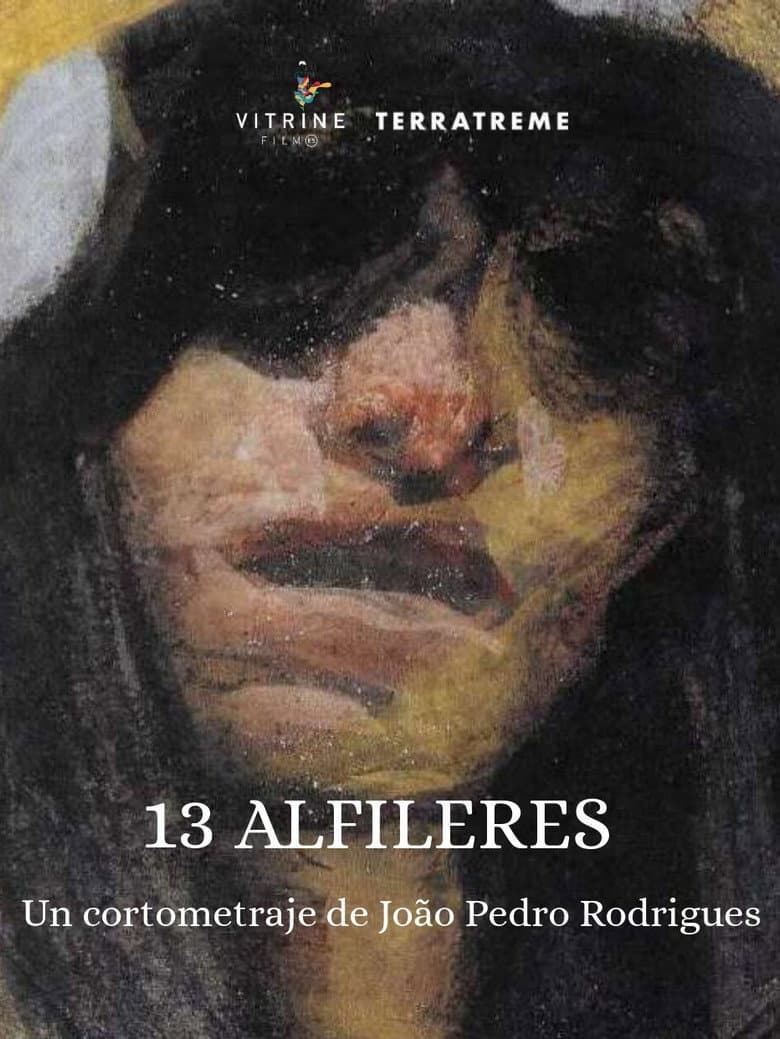 13 Alfinetes