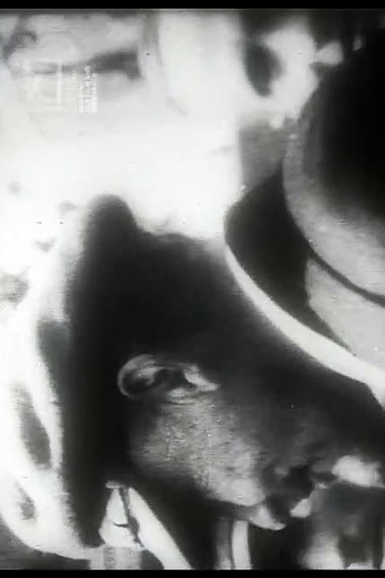 Uns mahnt ein November