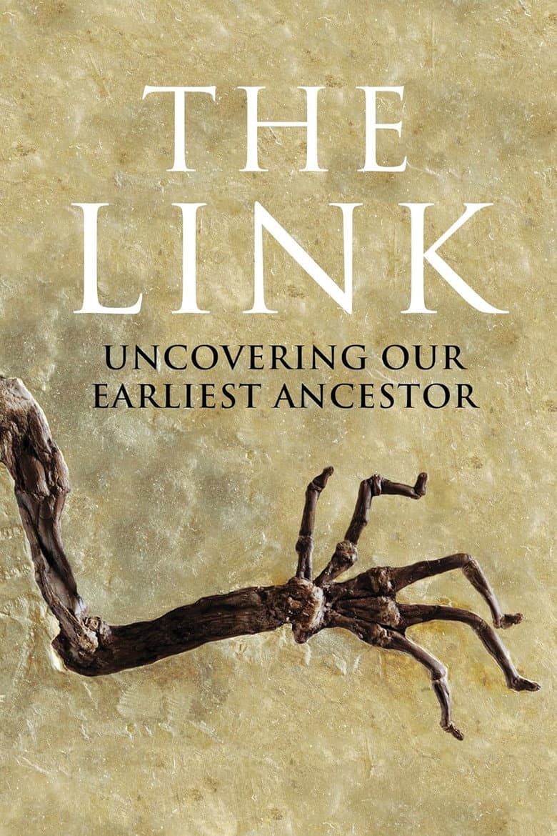 Uncovering Our Earliest Ancestor: The Link