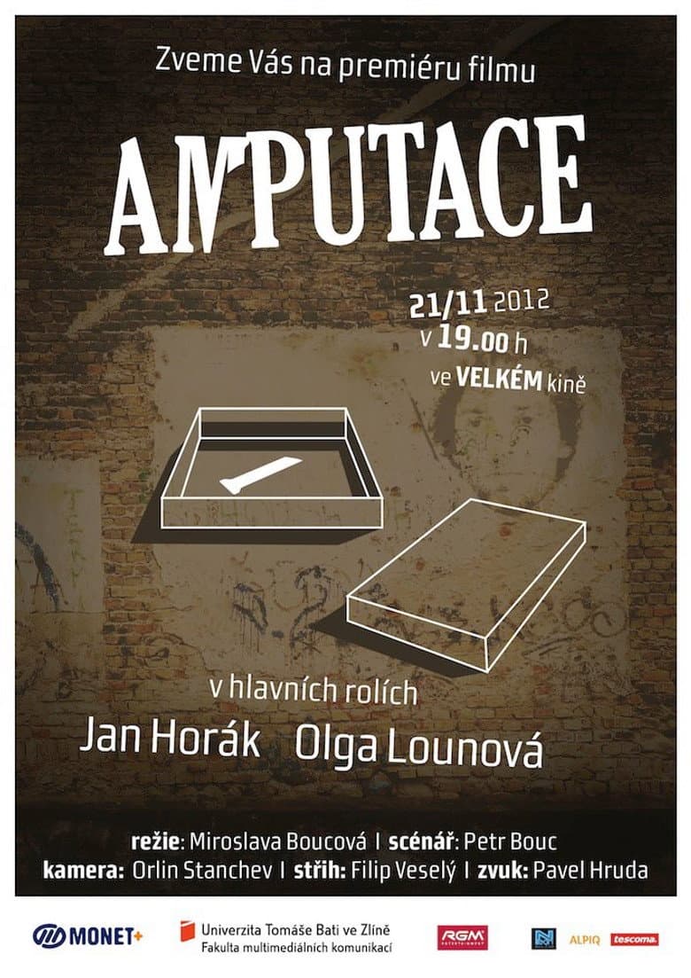 Amputace
