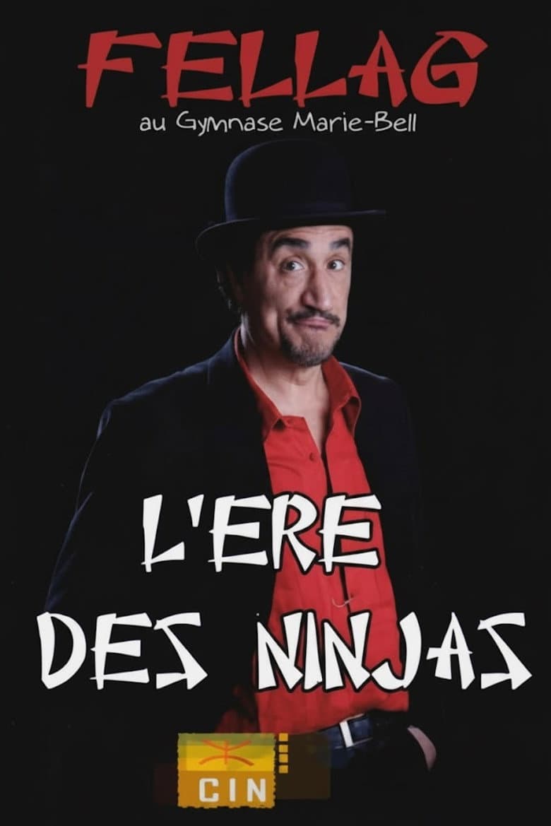 L'ère des Ninjas
