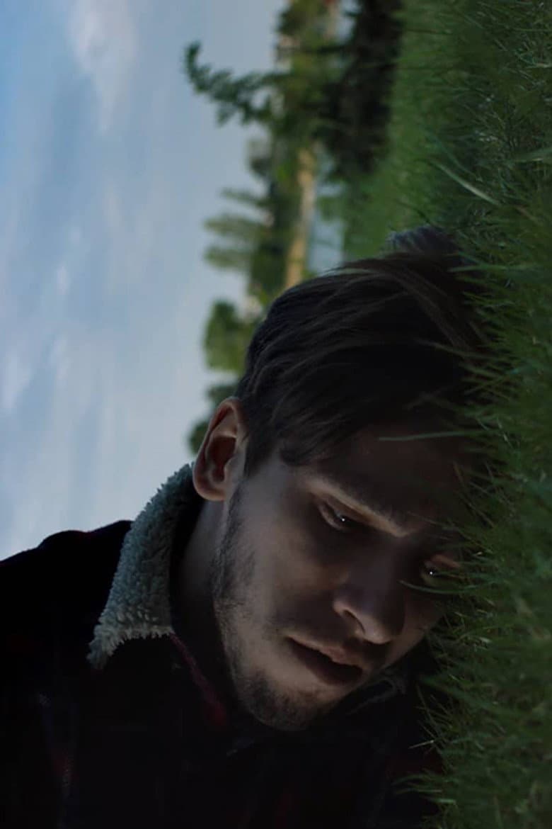 Warm Comedy about Depression, Madness and Unfulfilled Dreams