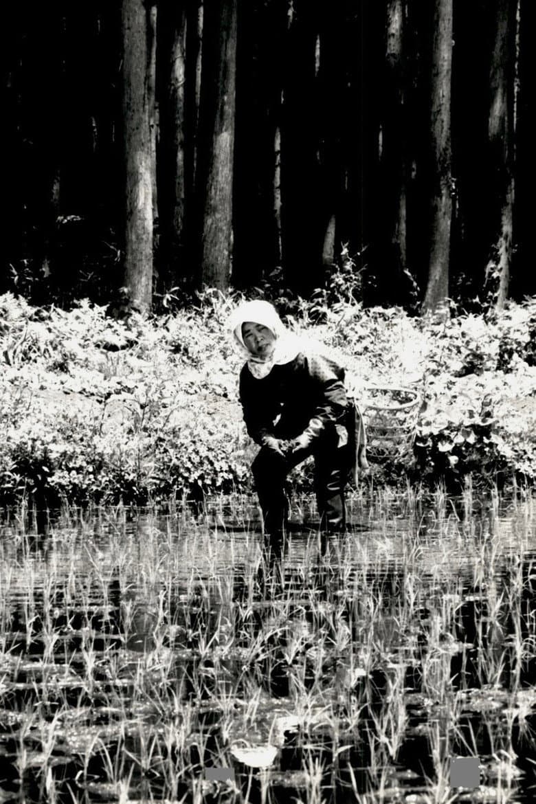 The Japanese Part 3: Farm Song