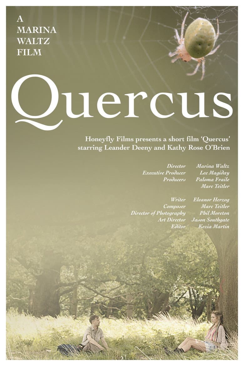 Quercus