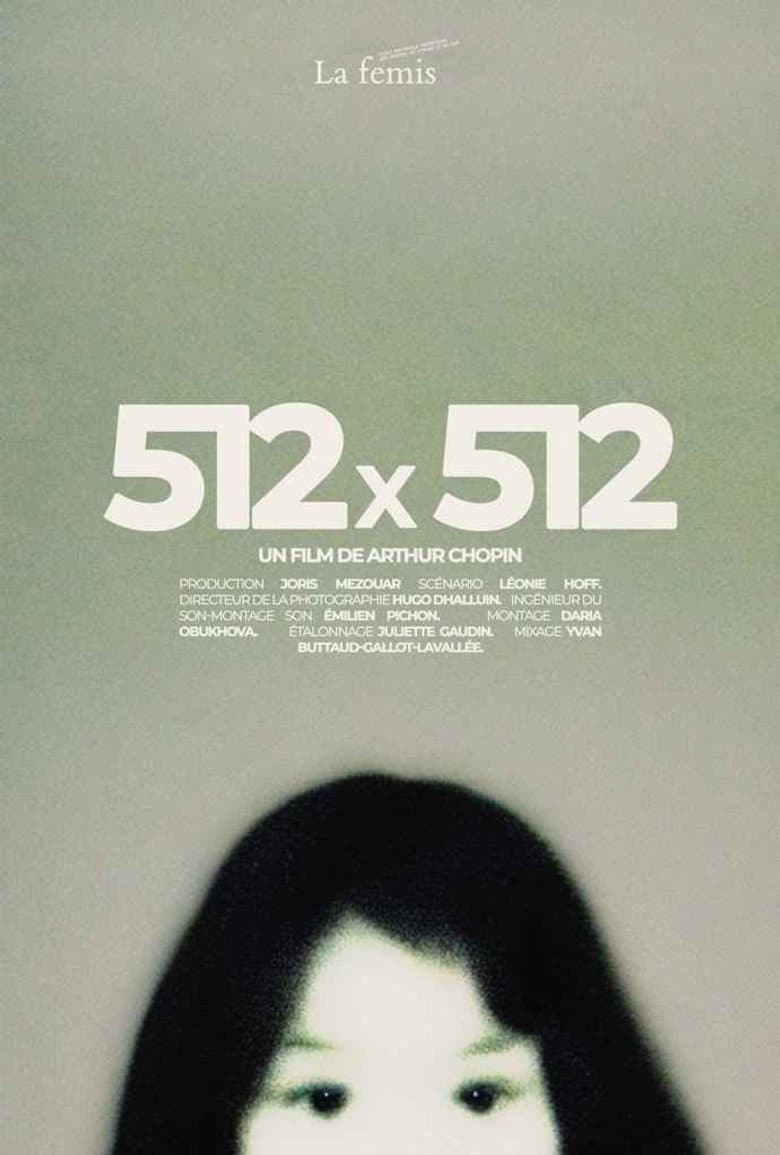512X512
