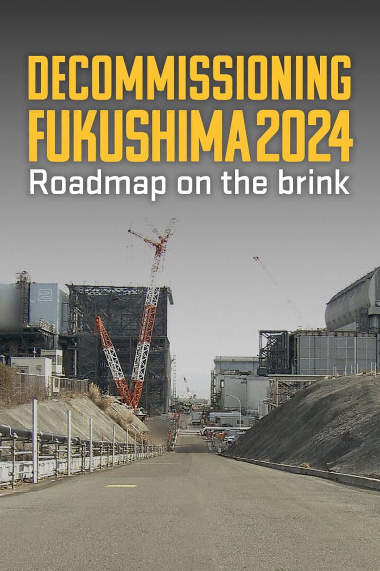 Decommissioning Fukushima 2024: Roadmap on the Brink