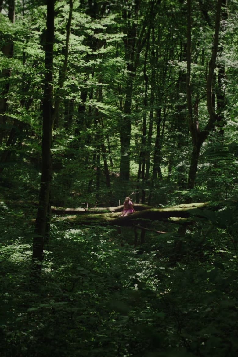 Kétoldali közelítés