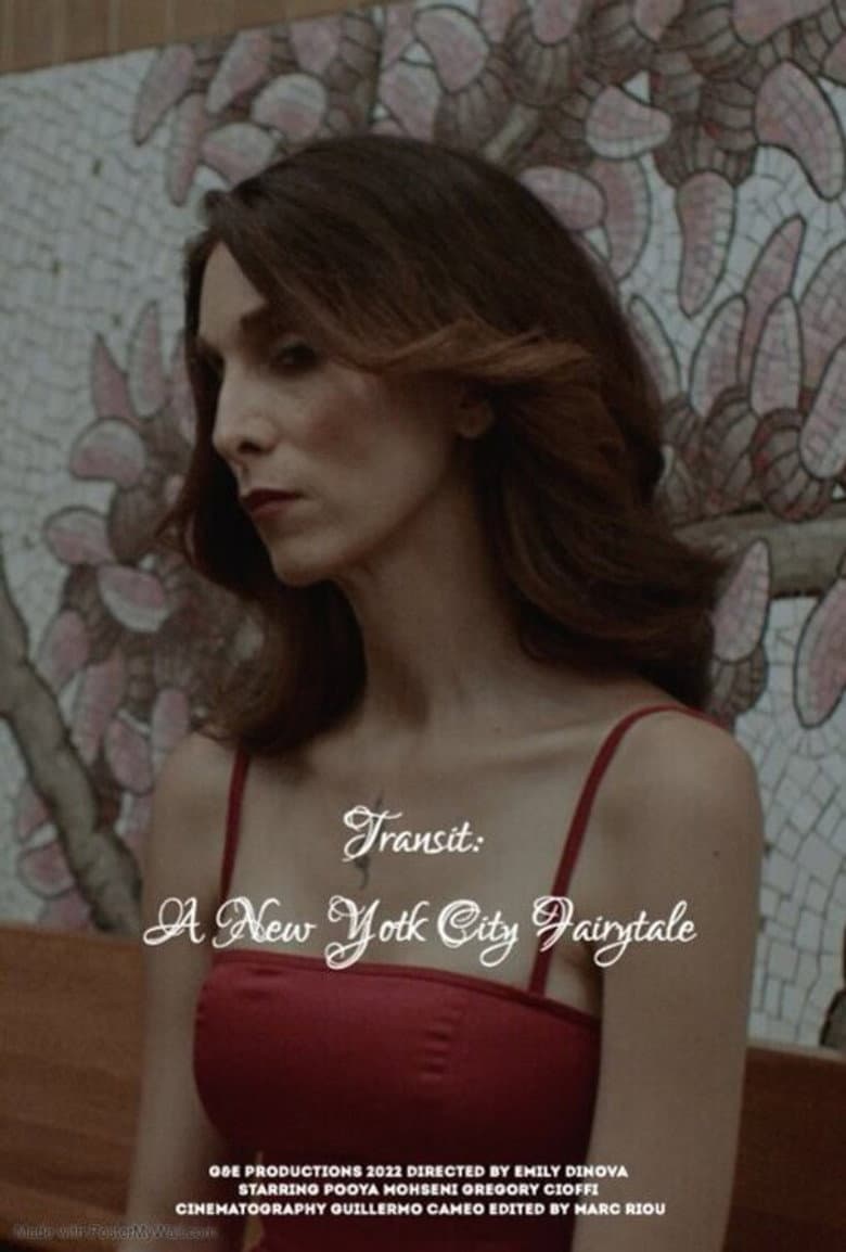 Transit: A New York City Fairytale