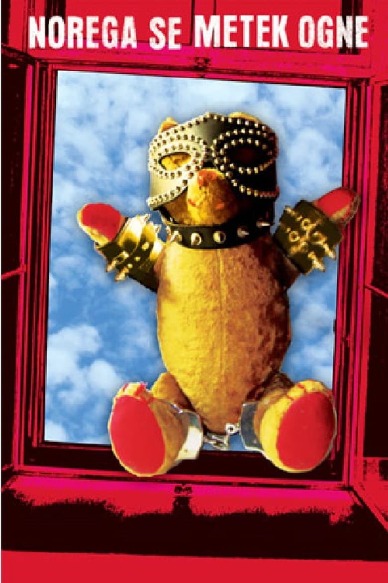 Bullets Miss the Fool