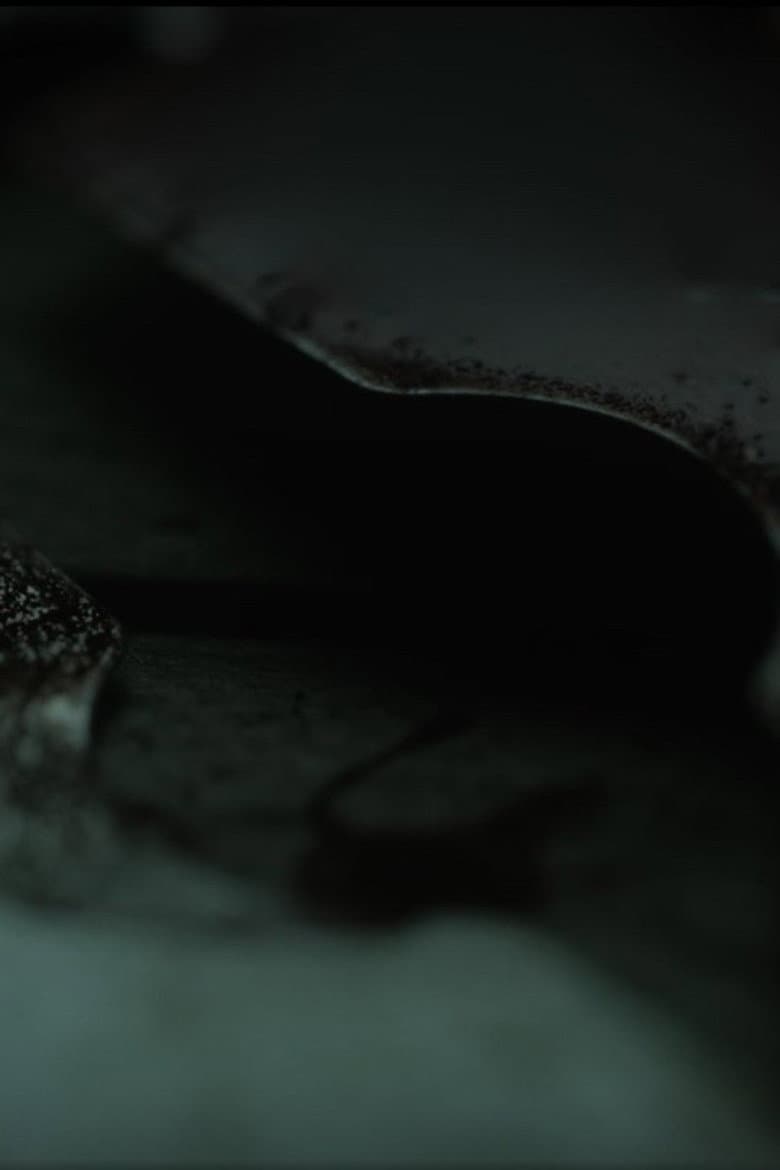 To Those Who Speak Waves