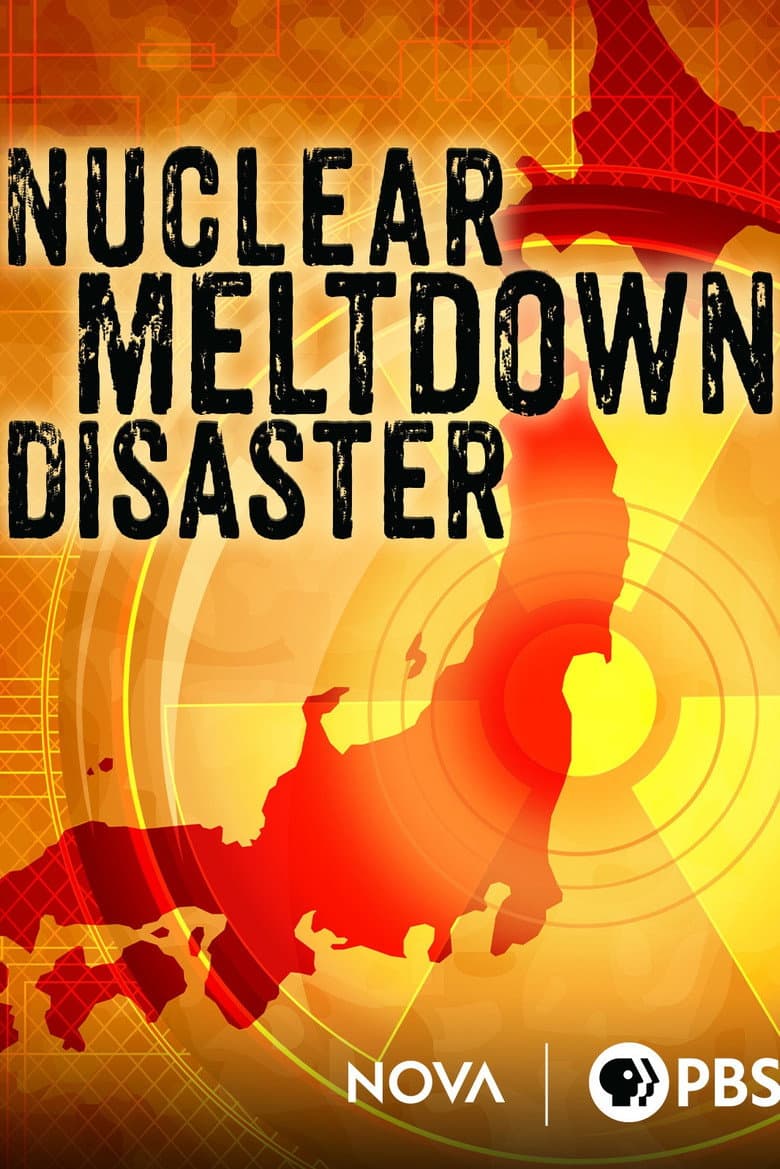 Nuclear Meltdown Disaster