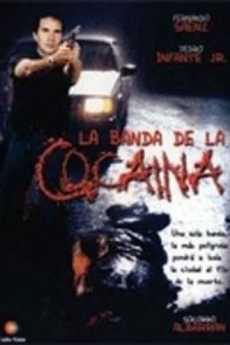 Un ingeniero en la capital