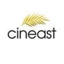 Cineasterna