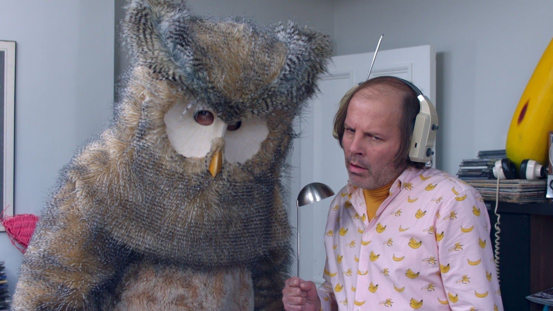 Owl You Need Is Love