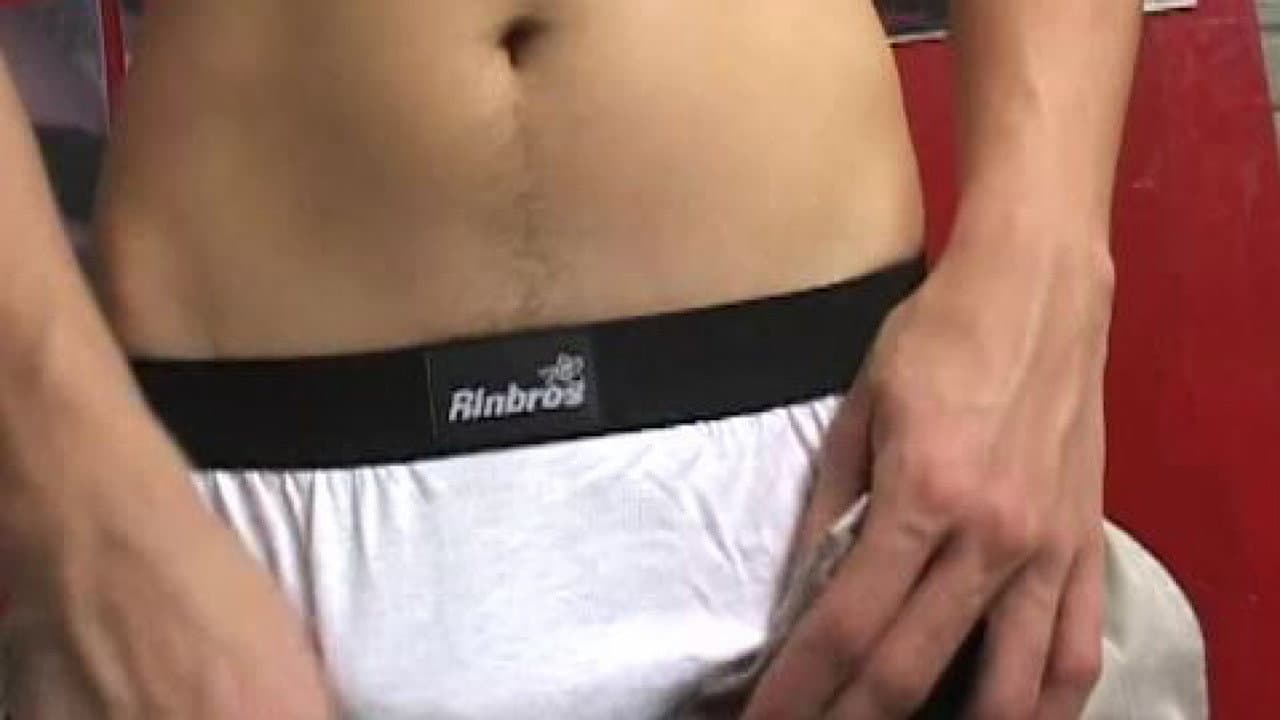 The Bulls of Guadalajara 4